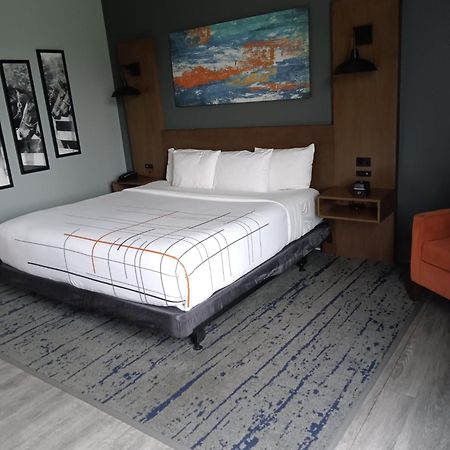 La Quinta Inn & Suites By Wyndham Bardstown Eksteriør billede